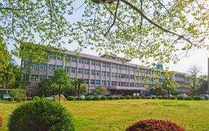 西藏高考多少分報(bào)考北京金融科技學(xué)院？2024年投檔線分