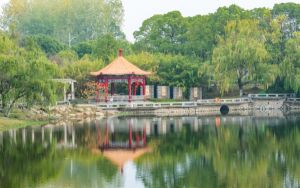 重慶高考多少分能上貴州商學(xué)院,？2024年歷史類480分 物理類481分