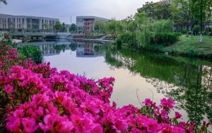 北京高考多少分報(bào)考南京航空航天大學(xué)金城學(xué)院,？附2022-2024年最低錄取分?jǐn)?shù)線(xiàn)