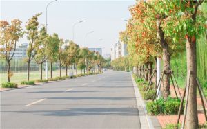 河北高考528分可以錄取那些公辦本科高校？（供2025屆高三考生參考）