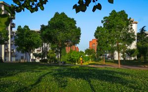 甘肅高考多少分能上上海第二工業(yè)大學？附2022-2024年最低錄取分數(shù)線