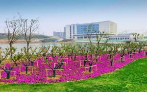 山東高考多少分能考上福建醫(yī)科大學(xué)？附2022-2024年最低錄取分?jǐn)?shù)線