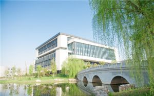 河北高考多少分能考上溫州肯恩大學？2024年歷史類547分 物理類最低525分