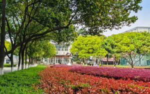 江蘇高考多少分能考上吉首大學(xué)？2024年歷史類最低531分 物理類投檔線532分