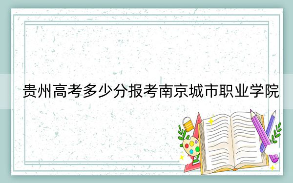 貴州高考多少分報(bào)考南京城市職業(yè)學(xué)院,？附2022-2024年最低錄取分?jǐn)?shù)線