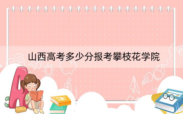 山西高考多少分報考攀枝花學院,？2024年文科投檔線455分 理科錄取分467分